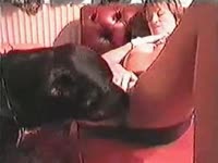 Horny bitch got pussy licked and fucked by dog